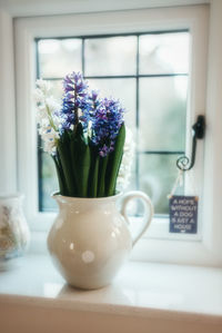 Close-up of flowers in vase