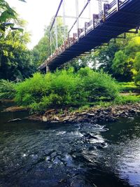 Footbridge over river in forest against sky