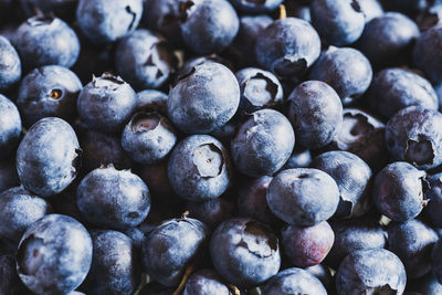 Full frame shot of blueberries