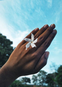 Close-up of hand holding leaf against sky