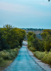 Road amidst trees against sky