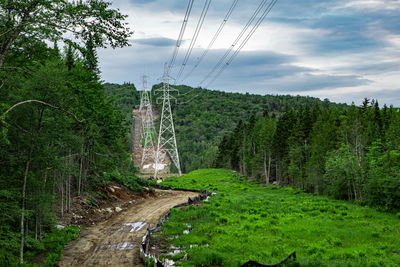 Road amidst trees in forest against sky