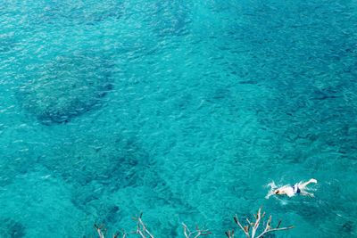 High angle view of man swimming in sea