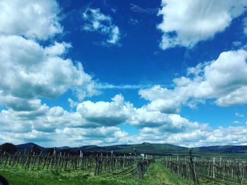 Scenic view of field against cloudy sky