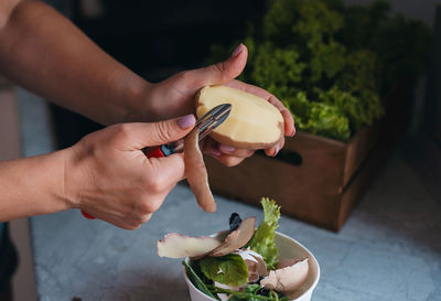 Cropped hands of person preparing food
