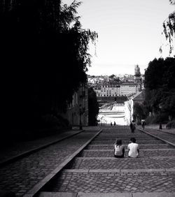 Buildings along trees