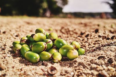 Surface level of green pebbles