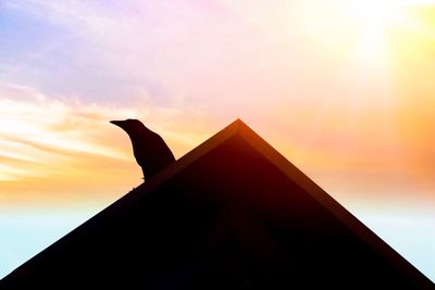 Low angle view of silhouette bird against sky during sunset