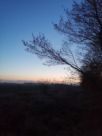 Silhouette tree on field against clear sky during sunset