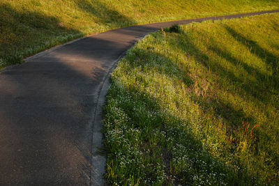 High angle view of road amidst trees on field