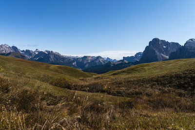 Scenic view of field against clear blue sky