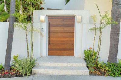 Potted plants outside house