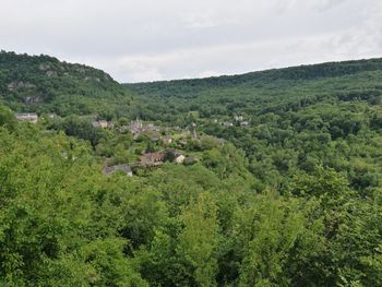 Scenic view of green landscape against sky