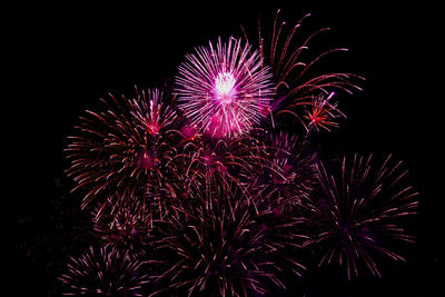 Low angle view of firework display at night