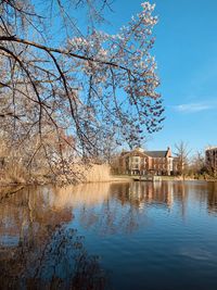 Reflection of tree and building in lake