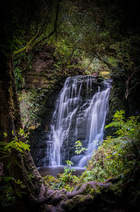 View of waterfall in forest