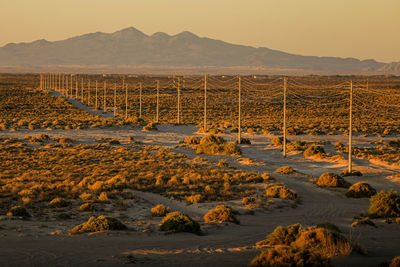 Electric power poles cables, high voltage, row towards, landscape valley, sand, dirt road, sunset,