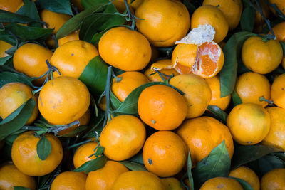 Close-up of oranges in market