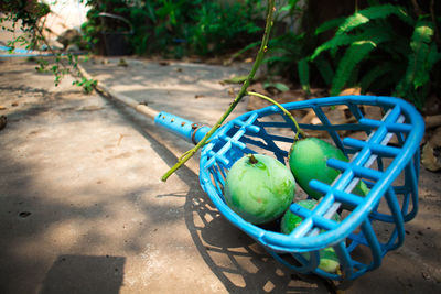 High angle view of eggs in basket