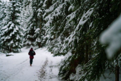 Rear view of man skiing on snow covered mountain