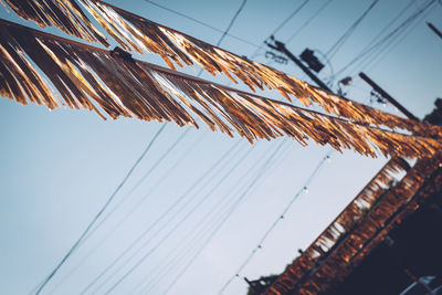 Large group of objects hanging against sky