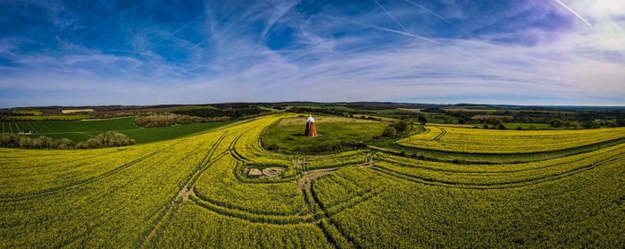 Scenic view of agricultural field against sky