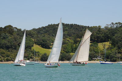 Sailboats sailing on sea against clear sky