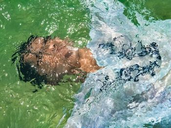 Man swimming in pool