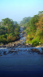 Scenic view of lake amidst trees against clear sky