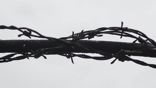 Low angle view of barbed wire against clear sky