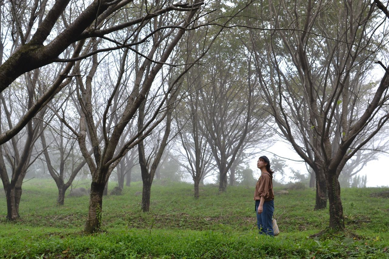 nature, one person, tree, young adult, full length, people, adults only, adult, outdoors, women, adventure, one young woman only, one woman only, young women, only women, day