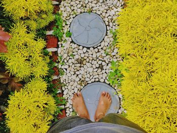 Low section of man standing by leaves