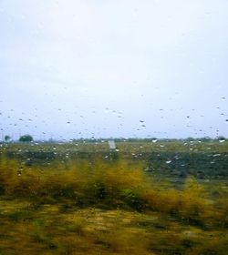 Close-up of wet window against sky