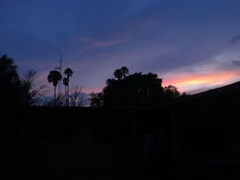 Silhouette of trees at sunset