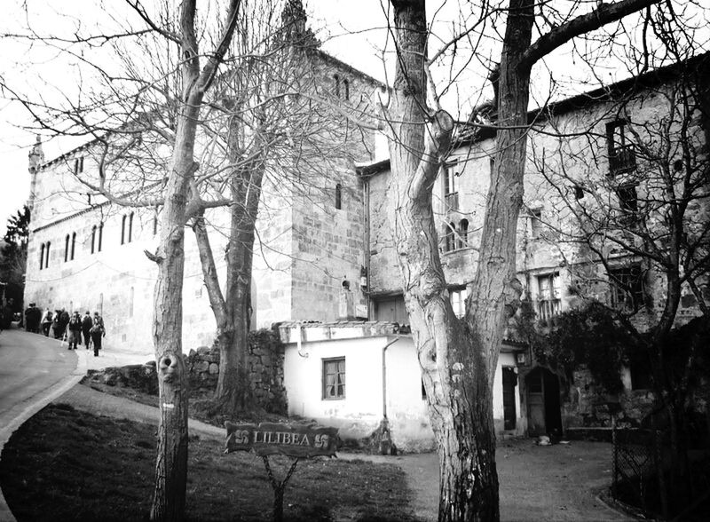 architecture, building exterior, built structure, bare tree, tree, branch, tree trunk, building, old, house, church, day, clear sky, residential structure, city, residential building, sky, facade, outdoors, history