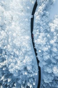 Aerial view of car on road between snow covered trees