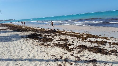 Scenic view of beach against clear sky