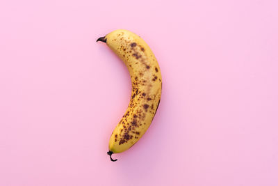 Directly above shot of fruit on white background