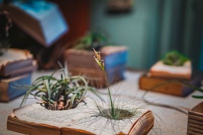 Close-up of book on table