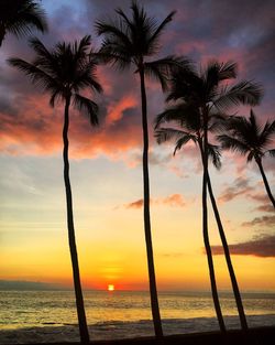 Silhouette palm trees on beach against sky during sunset