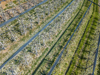 High angle view of railroad tracks on field