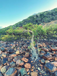 View of rocks against clear sky