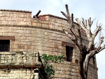 Low angle view of old building against sky