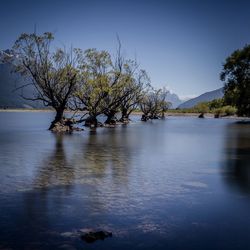 Scenic view of lake