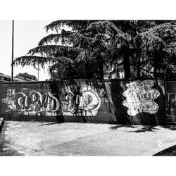 Graffiti on wall by trees against sky