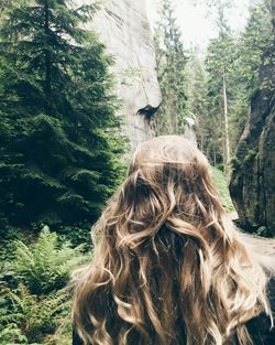 Rear view of woman in forest