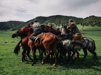 HORSES ON FIELD IN FARM AGAINST SKY