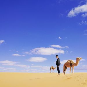 Man riding horse in desert against blue sky