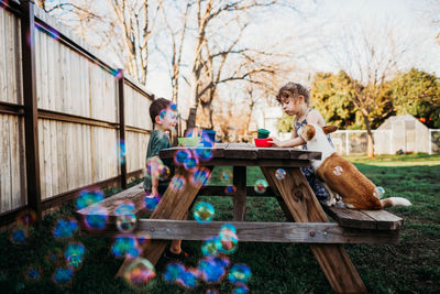 Two kids eating at picnic table with pet corgi dog