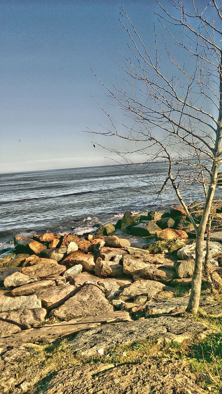 water, sea, sky, beauty in nature, scenics - nature, horizon over water, land, nature, tranquility, horizon, rock, day, tranquil scene, no people, beach, tree, solid, clear sky, rock - object, outdoors, dead plant